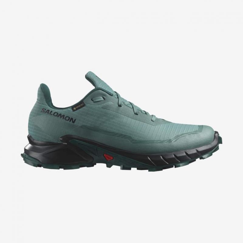 Salomon Alphacross 5 Gtx Erkek Koşu Ayakkabısı (L47595000) Yeşil