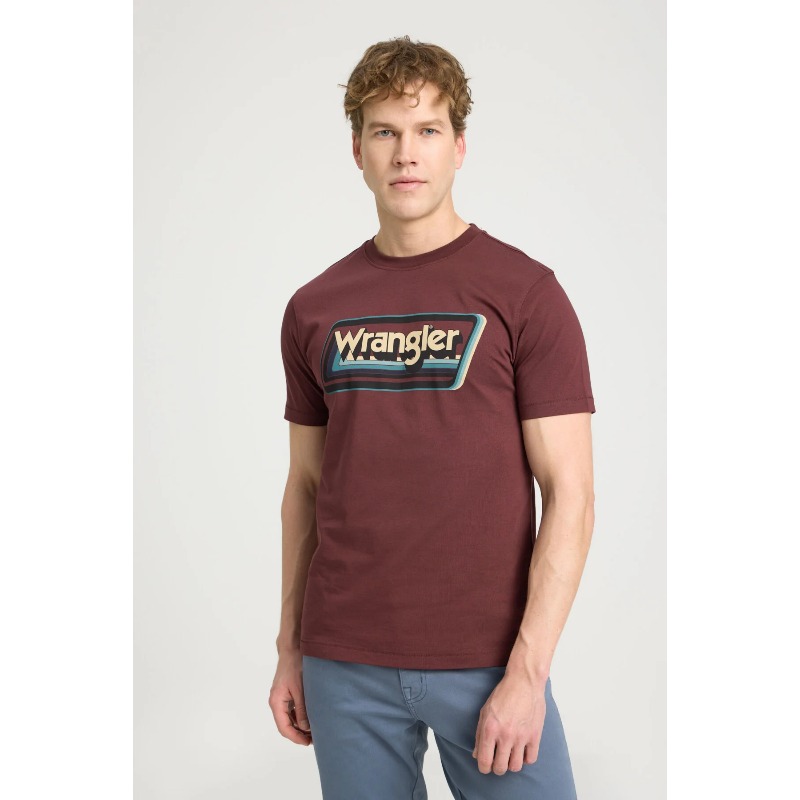 Wrangler Erkek T-shirt (W753EEH45) Kahverengi