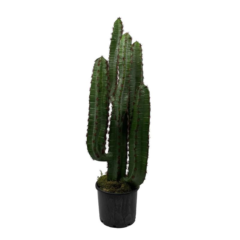 Kuk 382-479.76 Yapay Süt Ağacı Kaktüs (Euphorbia Trigona) 